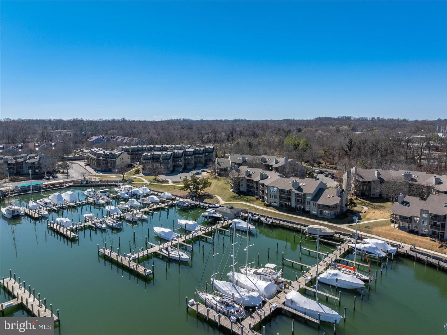 7046 Harbour Village Court #201 photo 37