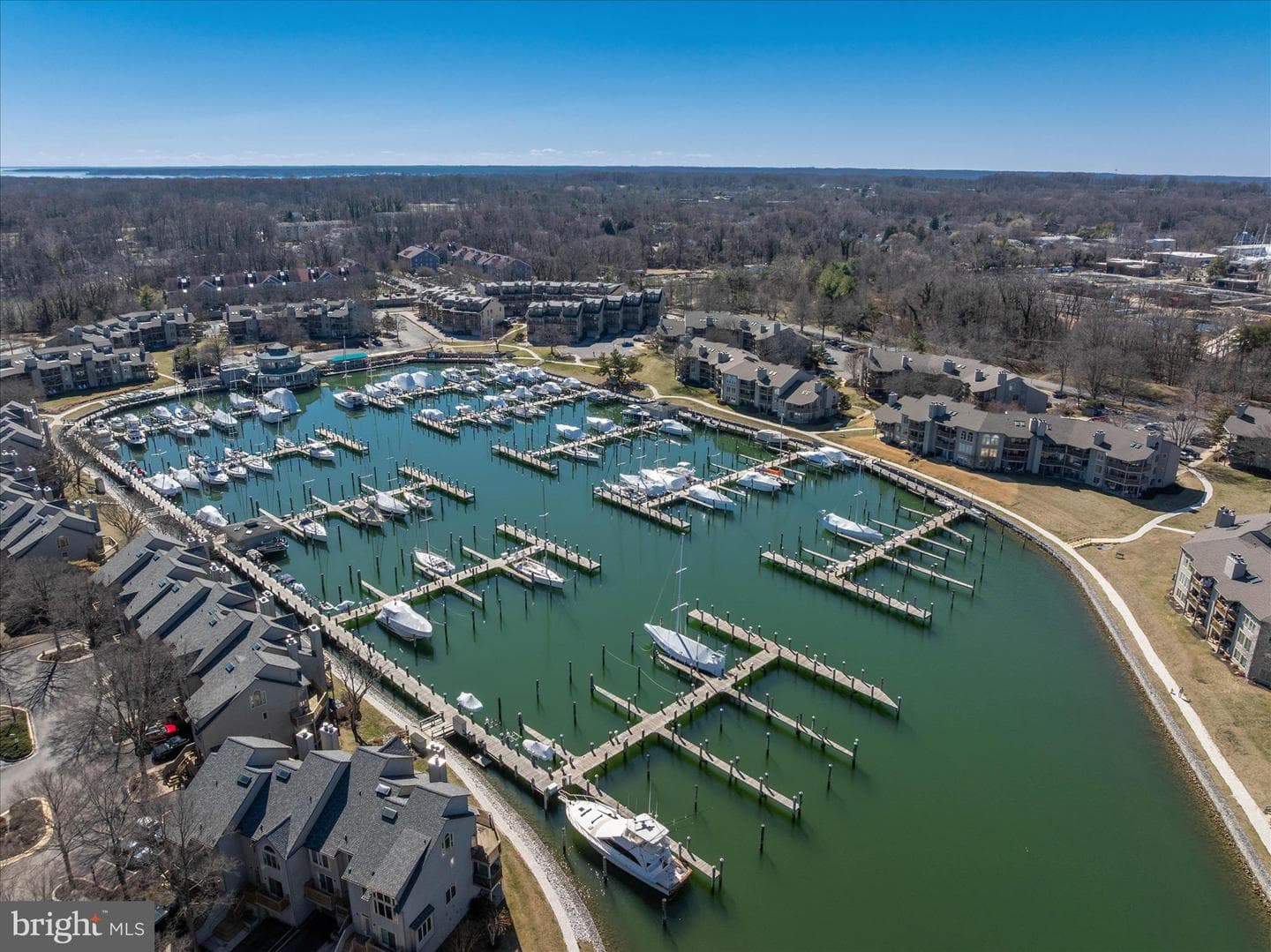 7046 Harbour Village Court #201 photo 38