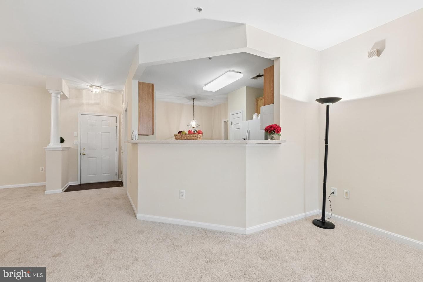 431 Hamlet Club Drive #102 photo 16