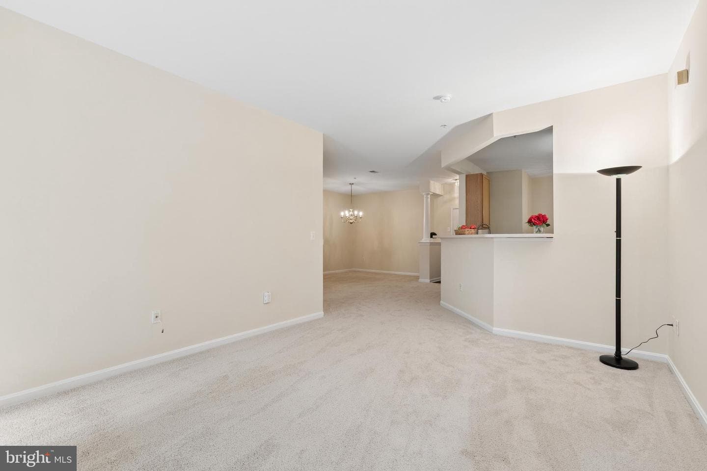 431 Hamlet Club Drive #102 photo 18