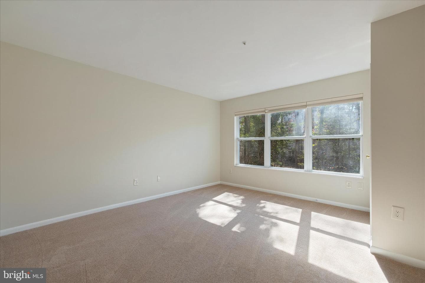 10 Amberstone Court photo 20