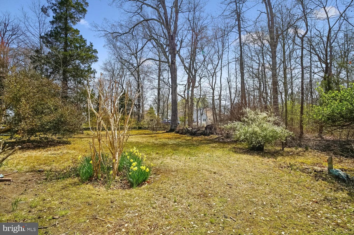 901 Walnut Avenue photo 7