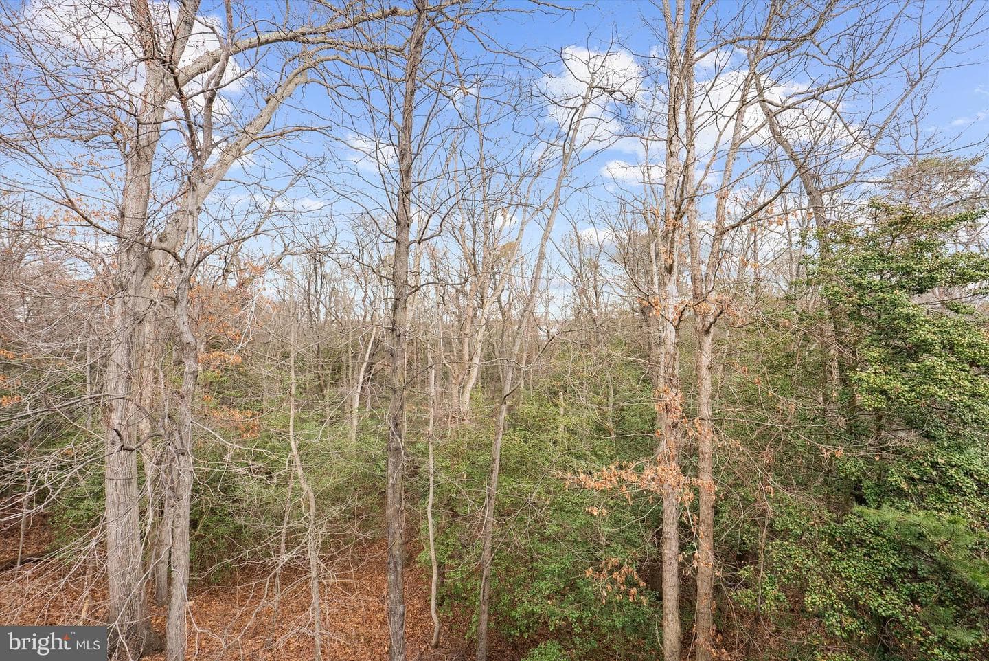 938 Hopkins Corner photo 35