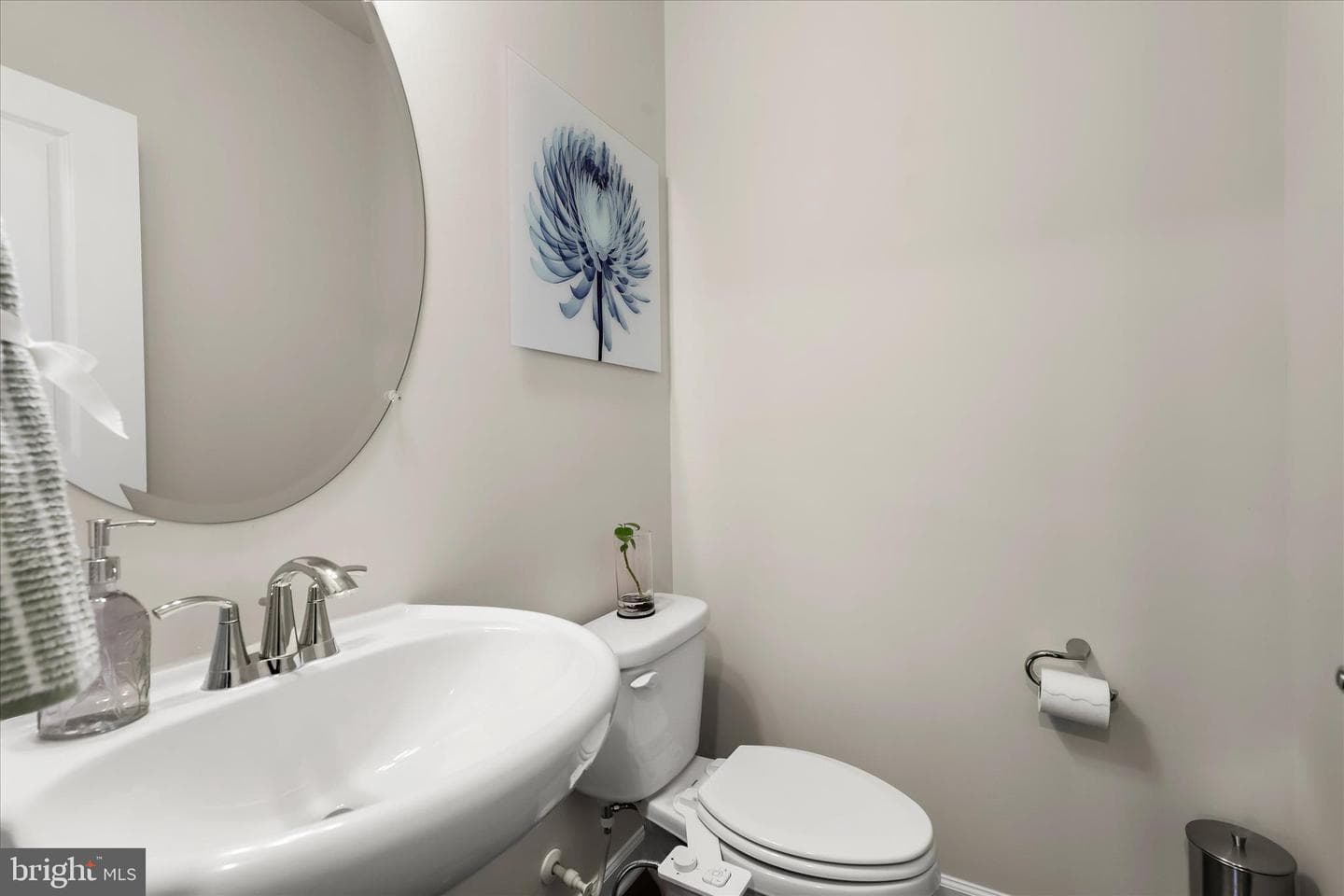 234 Freshet Ln photo 16