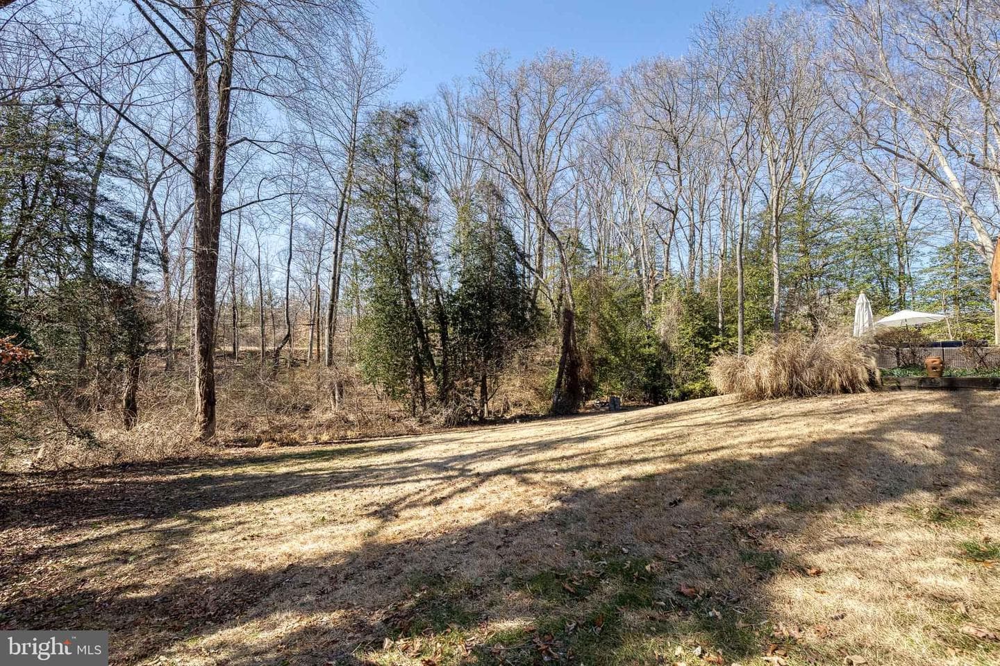 232 Cardamon Drive photo 40