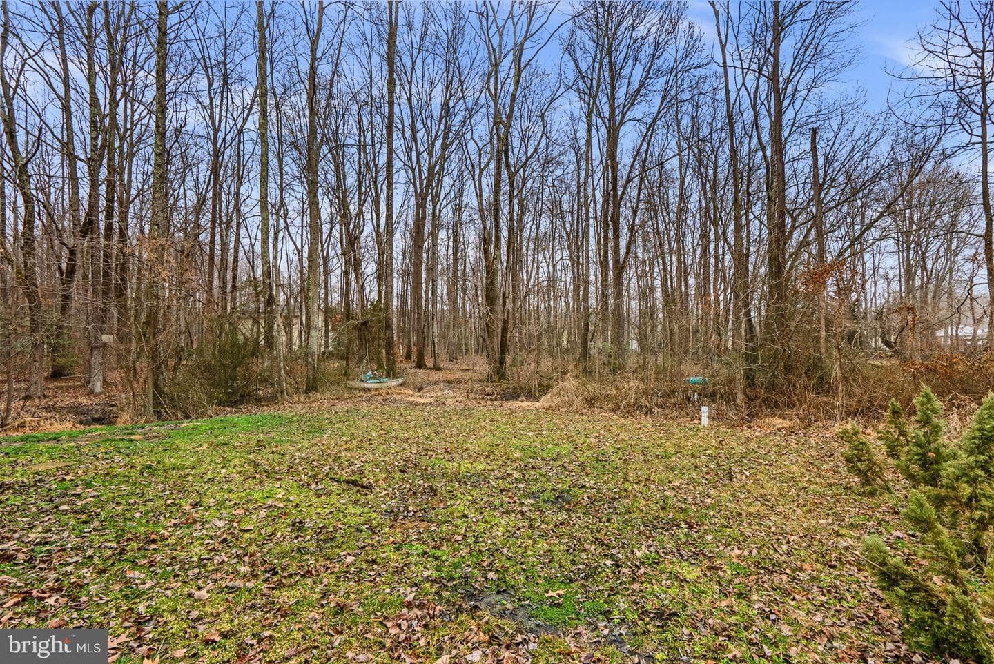 1411 Haile Parkway photo 36