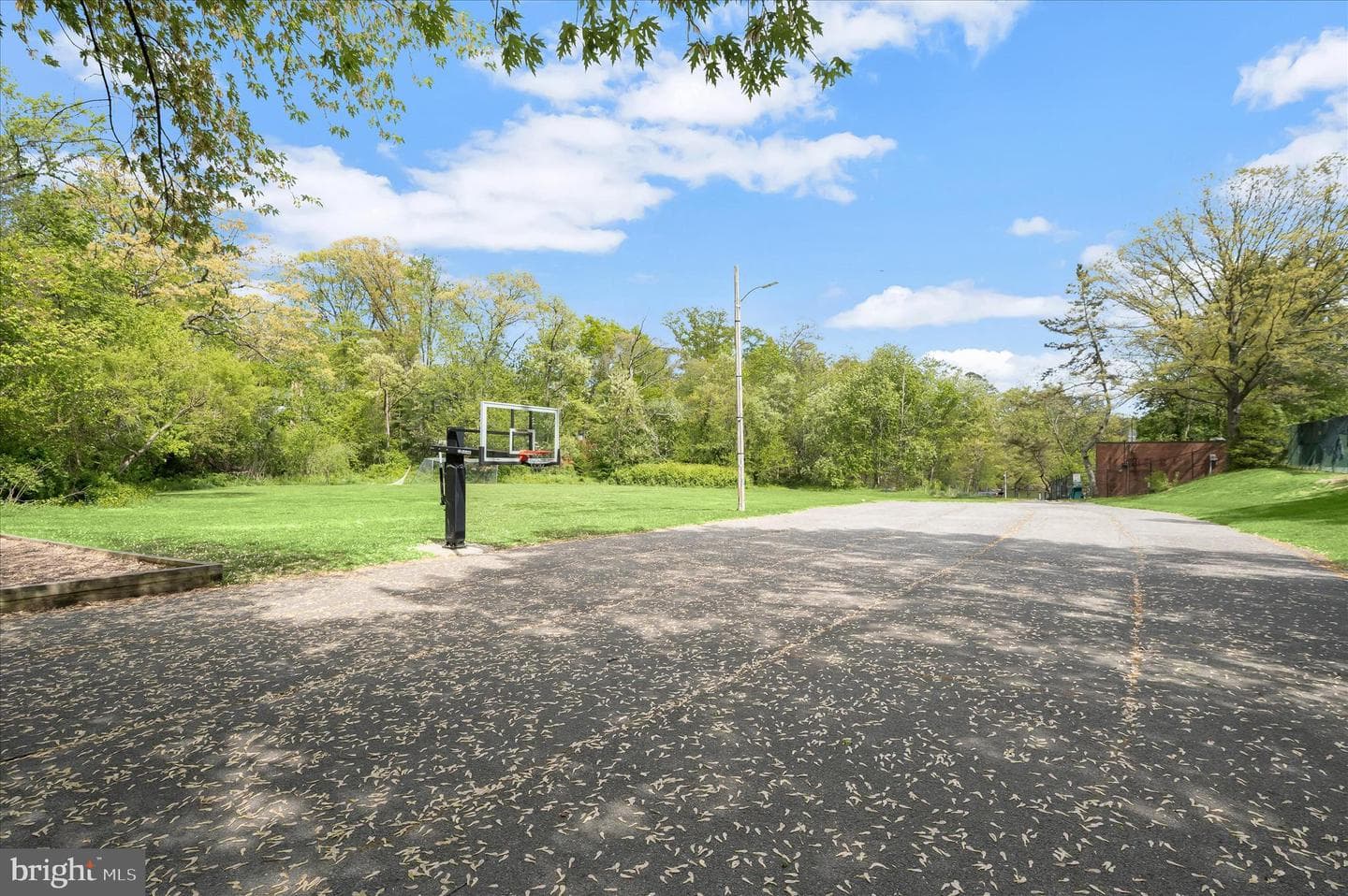 350 Hartman Drive photo 50