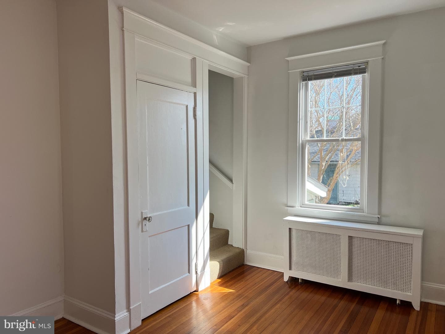 106 Linden Avenue photo 11