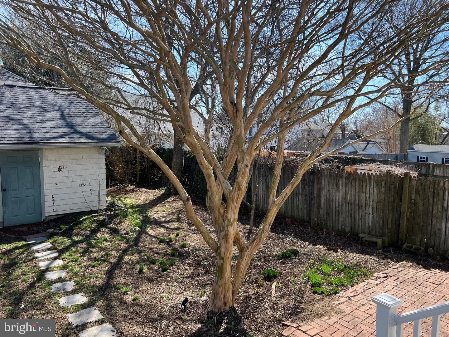 106 Linden Avenue photo 23
