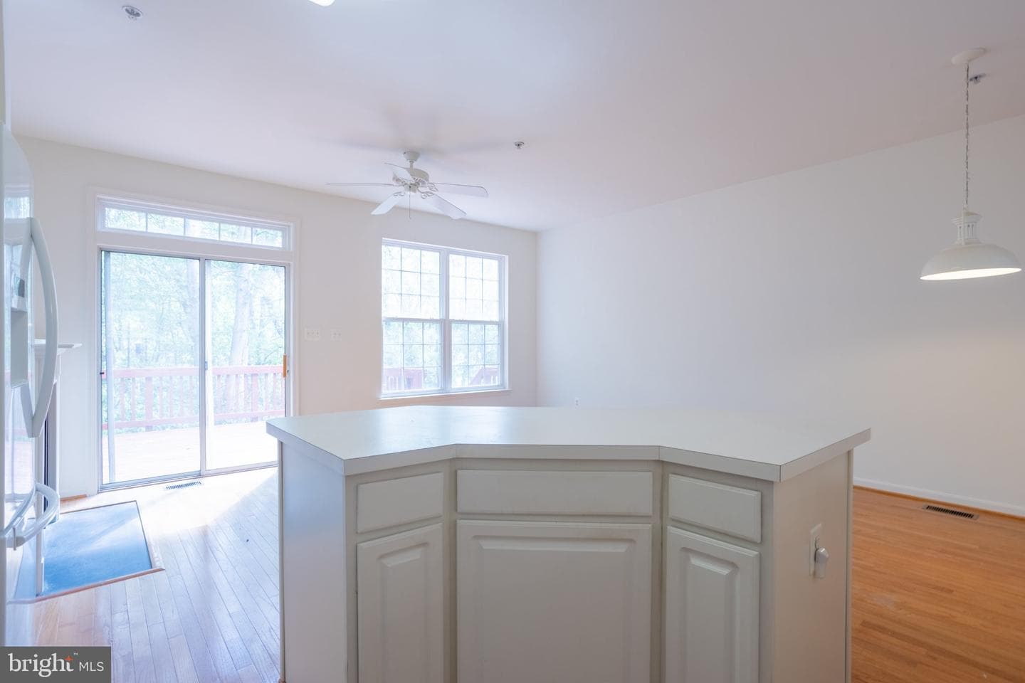 8031 Apple Valley Drive photo 8
