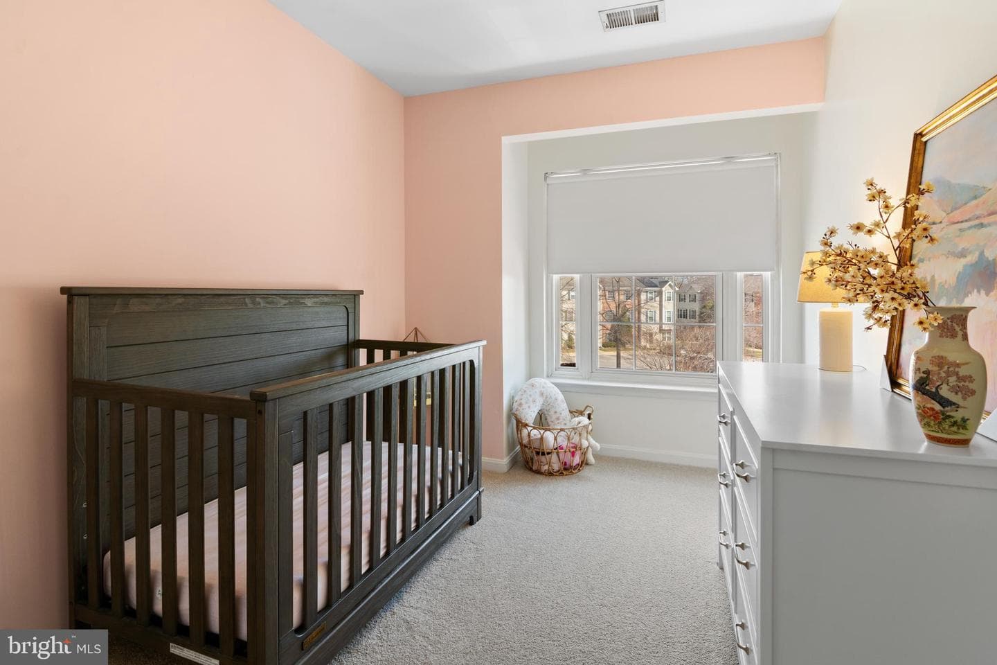 1010 Carbondale Way photo 50