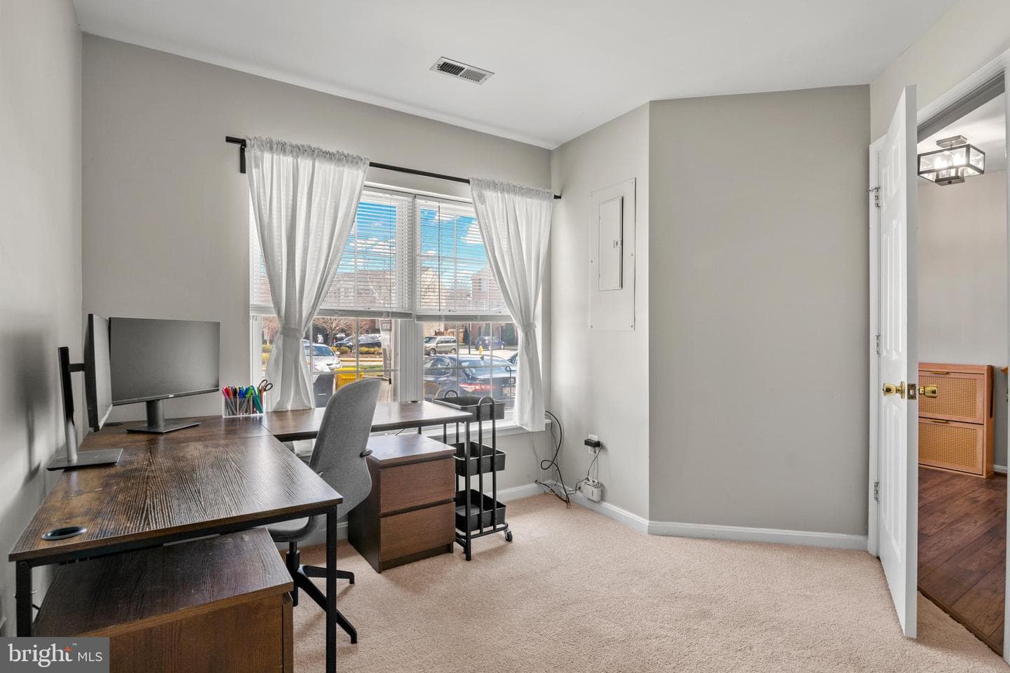 1010 Carbondale Way photo 6