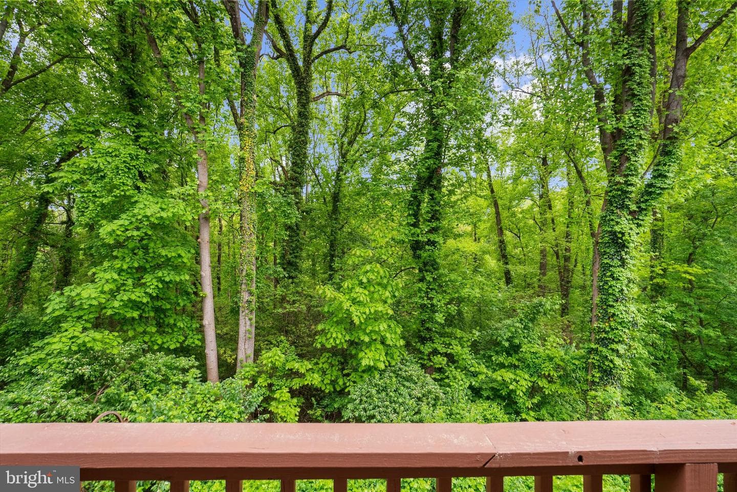 557 Bay Dale Court photo 21