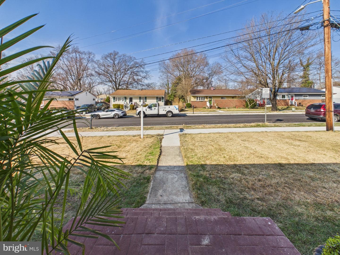 403 Arbor Drive photo 43