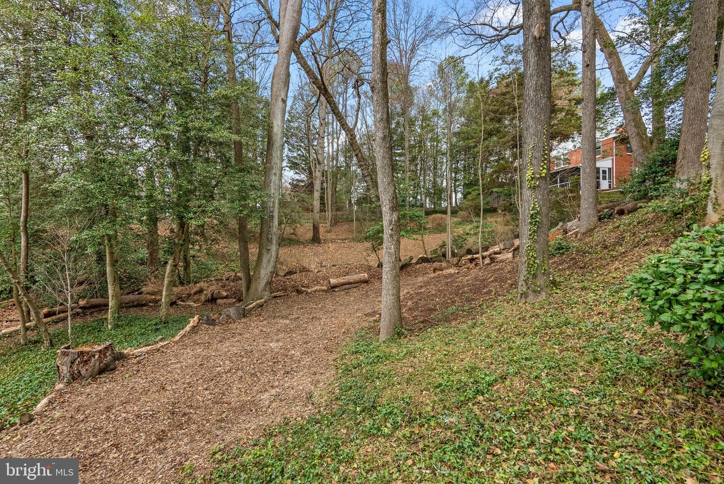 817 Dividing Road photo 45