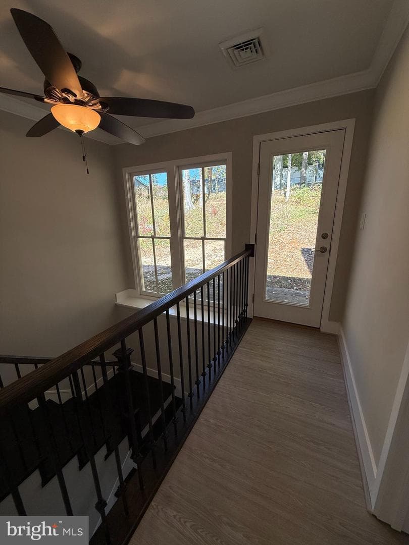 453 Walnut Drive photo 6