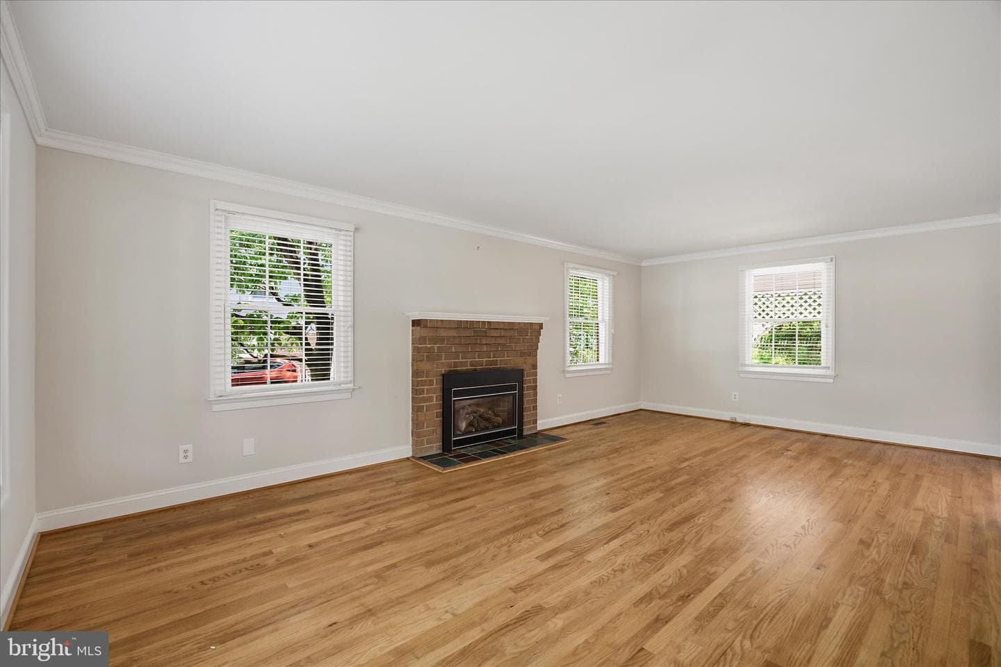 317 White Plains Court photo 20