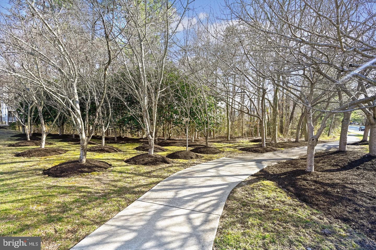 3557 Floating Leaf Lane #f202 photo 23