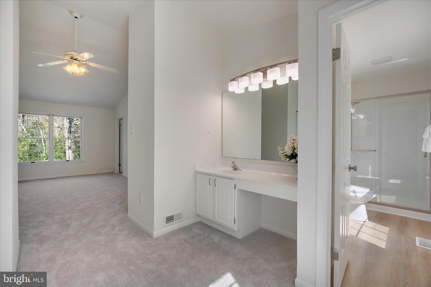 284 Tolstoy Lane photo 27