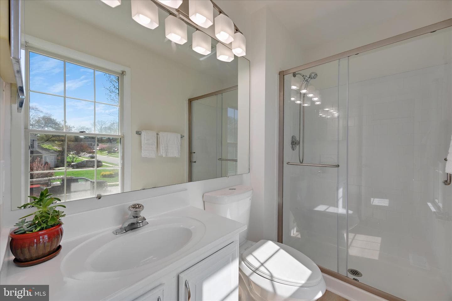 284 Tolstoy Lane photo 28