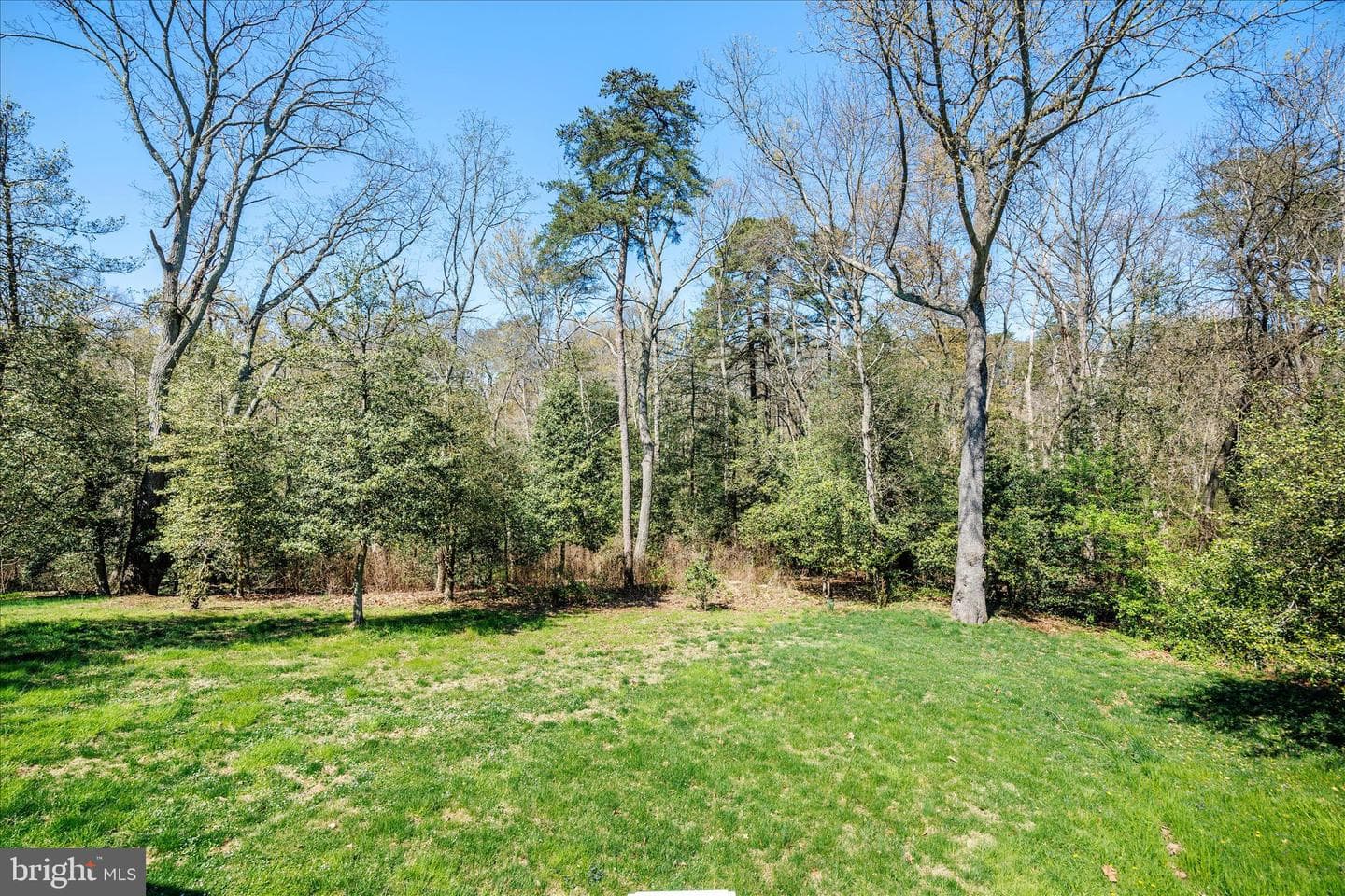 284 Tolstoy Lane photo 43