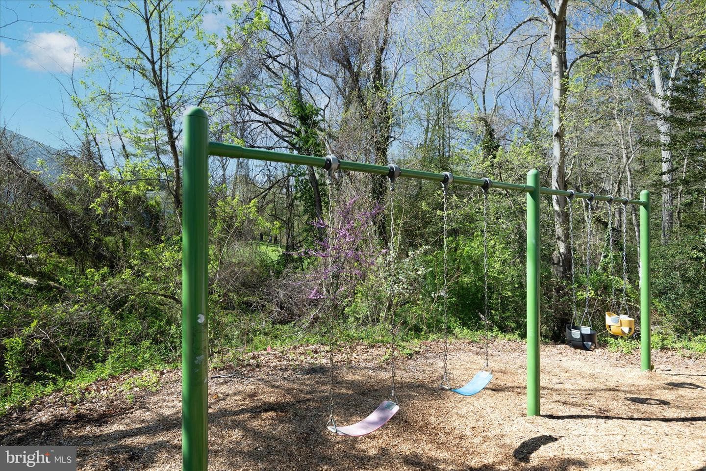 284 Tolstoy Lane photo 53