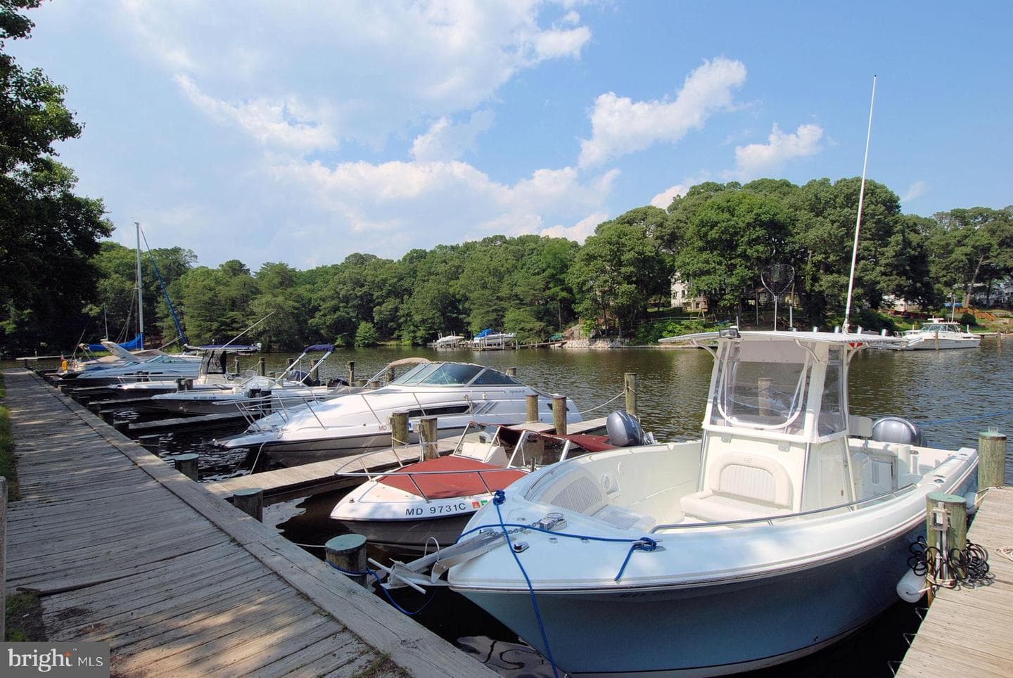 284 Tolstoy Lane photo 55