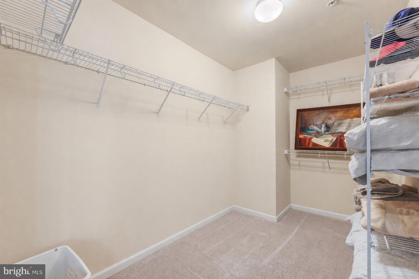 1038 Pultney Lane photo 19
