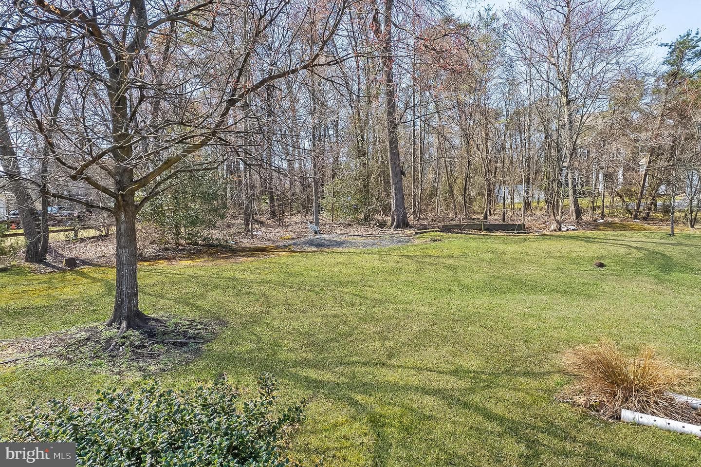 318 Wild Willow Way photo 10