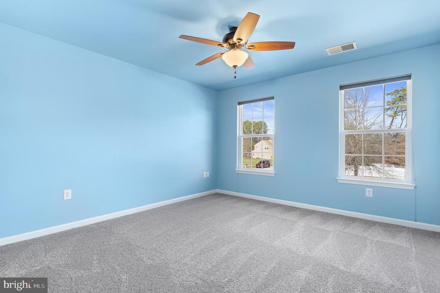 318 Wild Willow Way photo 57