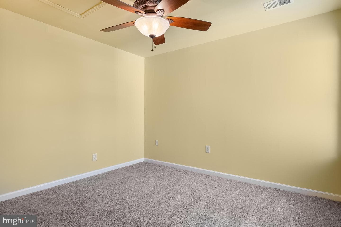318 Wild Willow Way photo 61