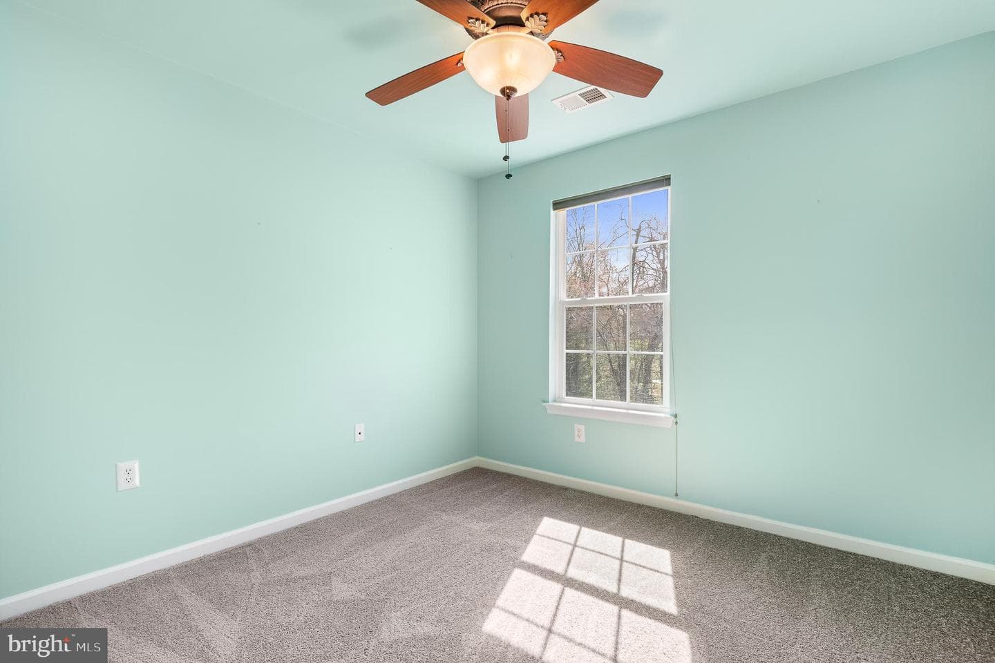 318 Wild Willow Way photo 73