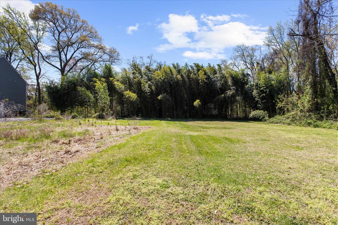 161 Margate Drive photo 4