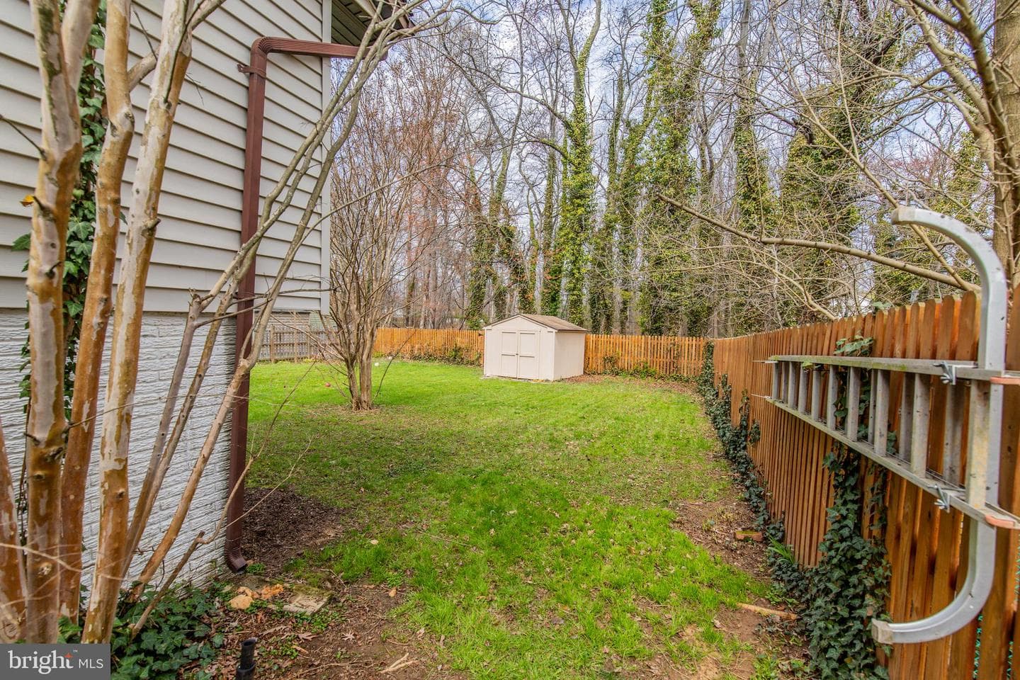 8221 Bernard Drive N photo 43