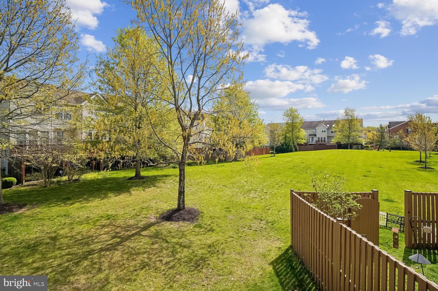 3757 Glebe Meadow Way photo 8