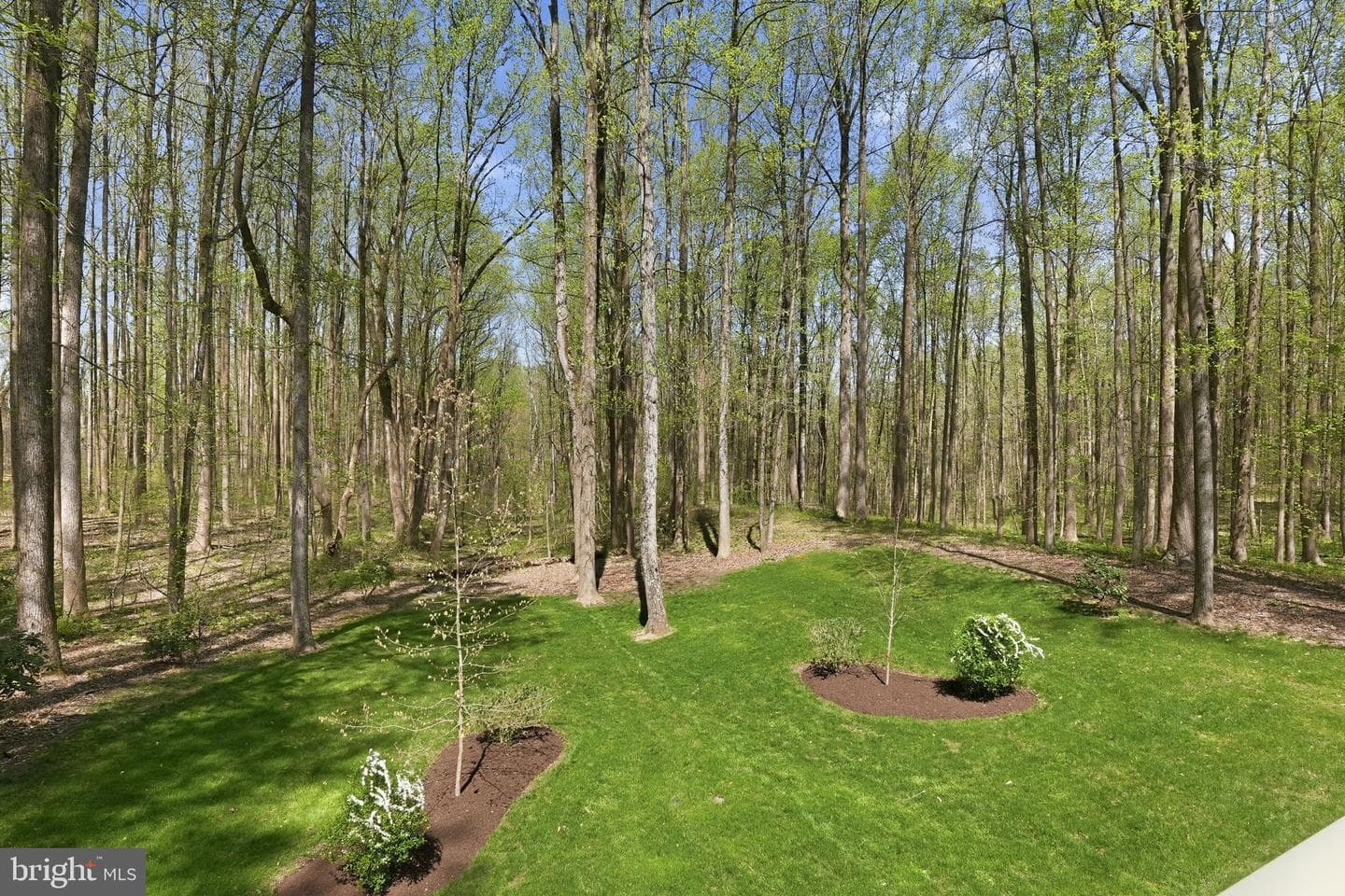 2012 Cortland Road photo 54