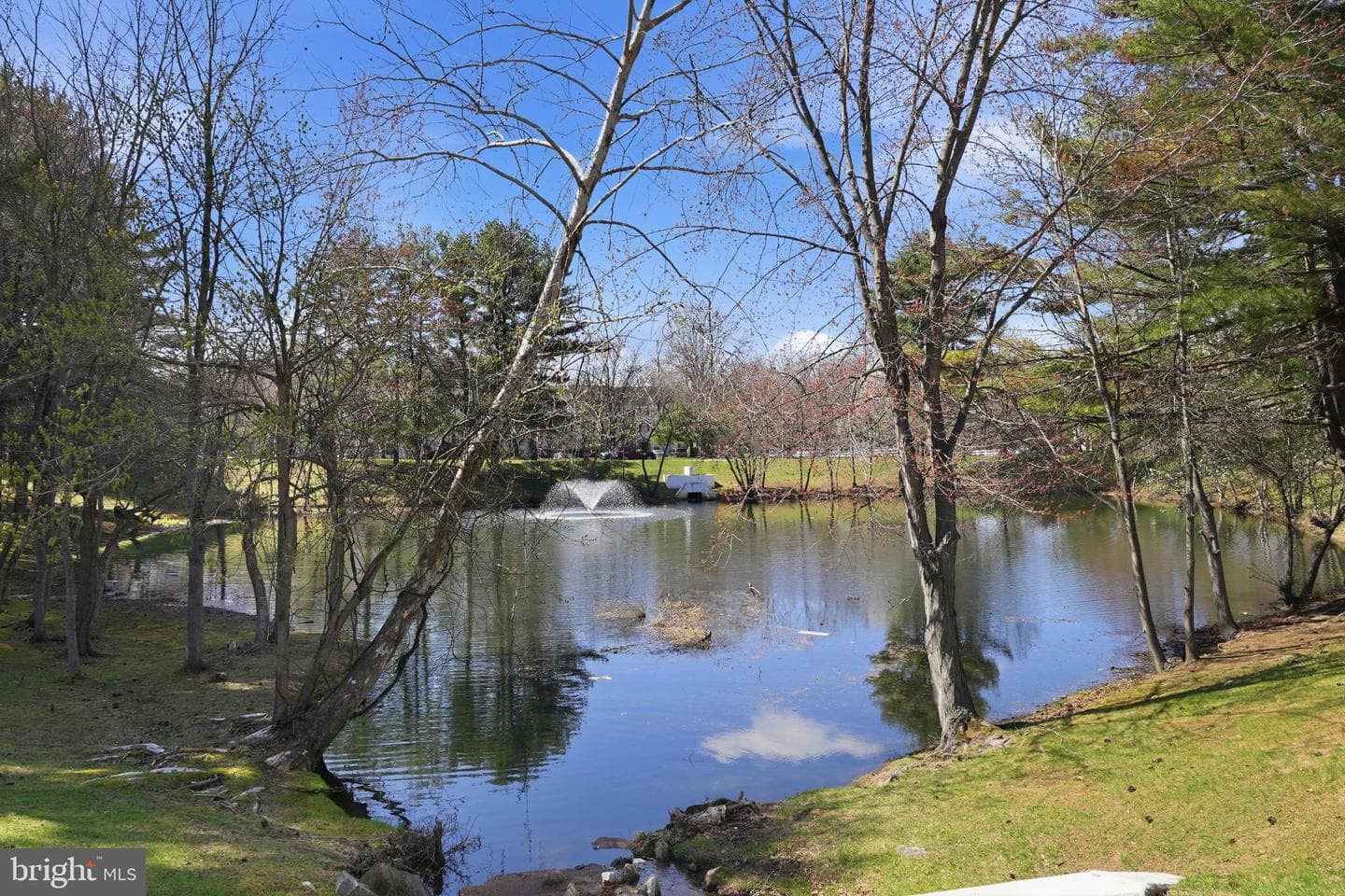 1503 Marlborough Court photo 35