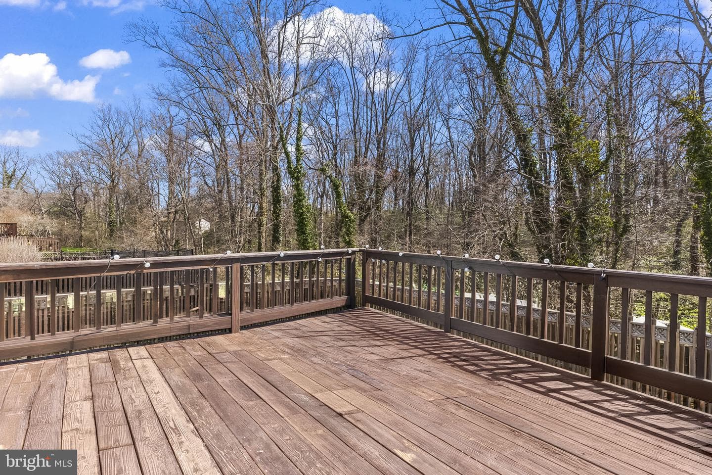 1513 Chester Town Circle photo 8