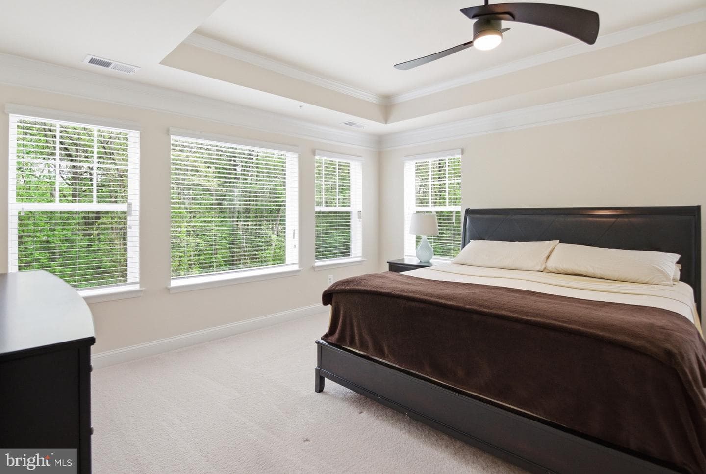 6931 Galesbury Court photo 40