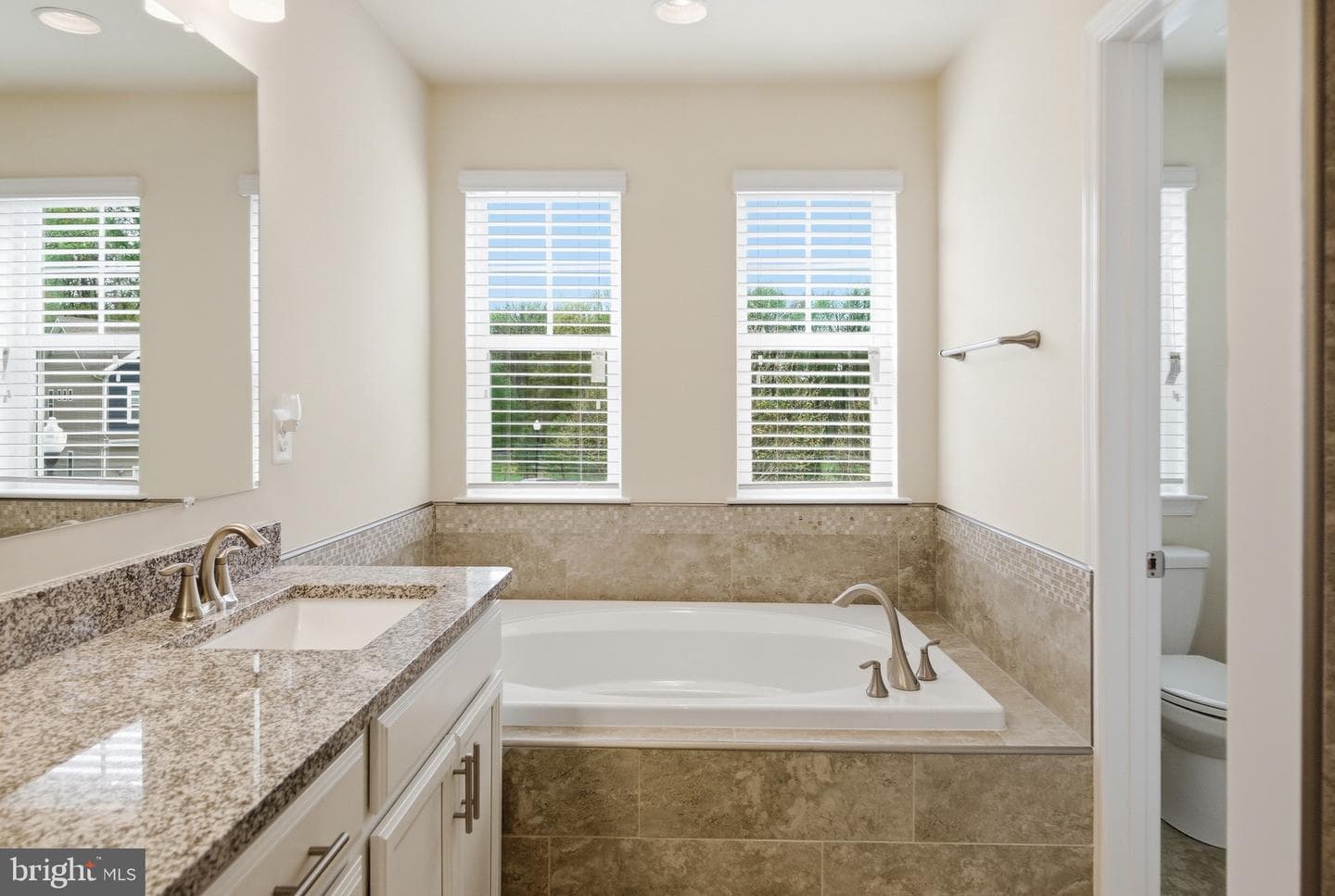 6931 Galesbury Court photo 48