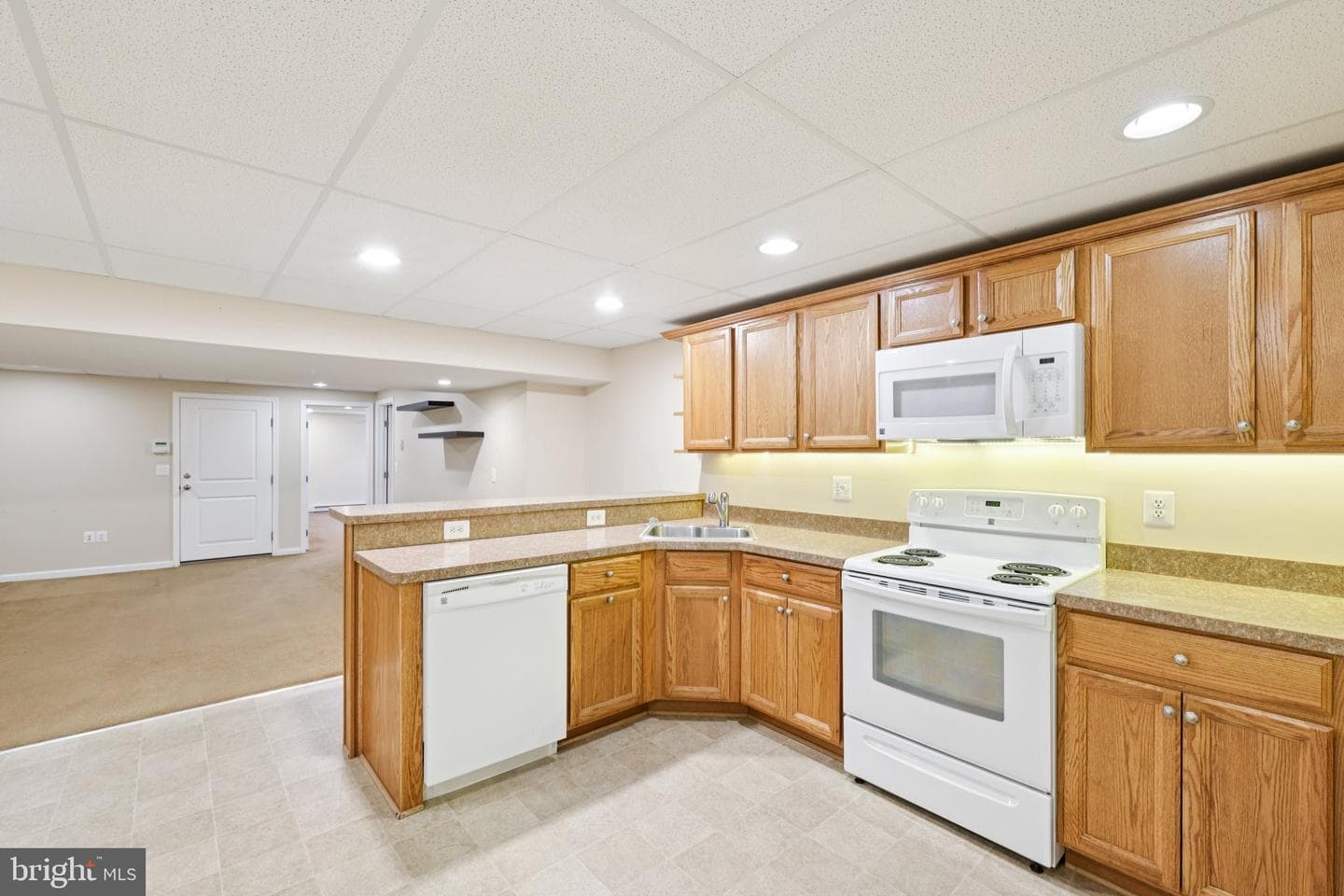 54 Dayton Drive photo 64