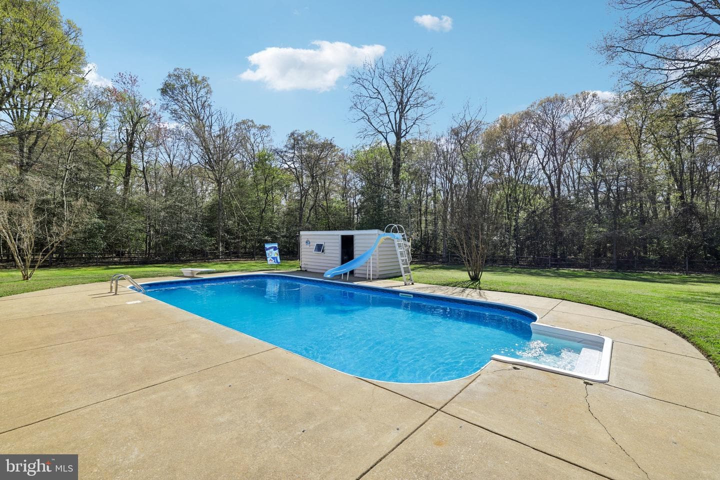 54 Dayton Drive photo 8