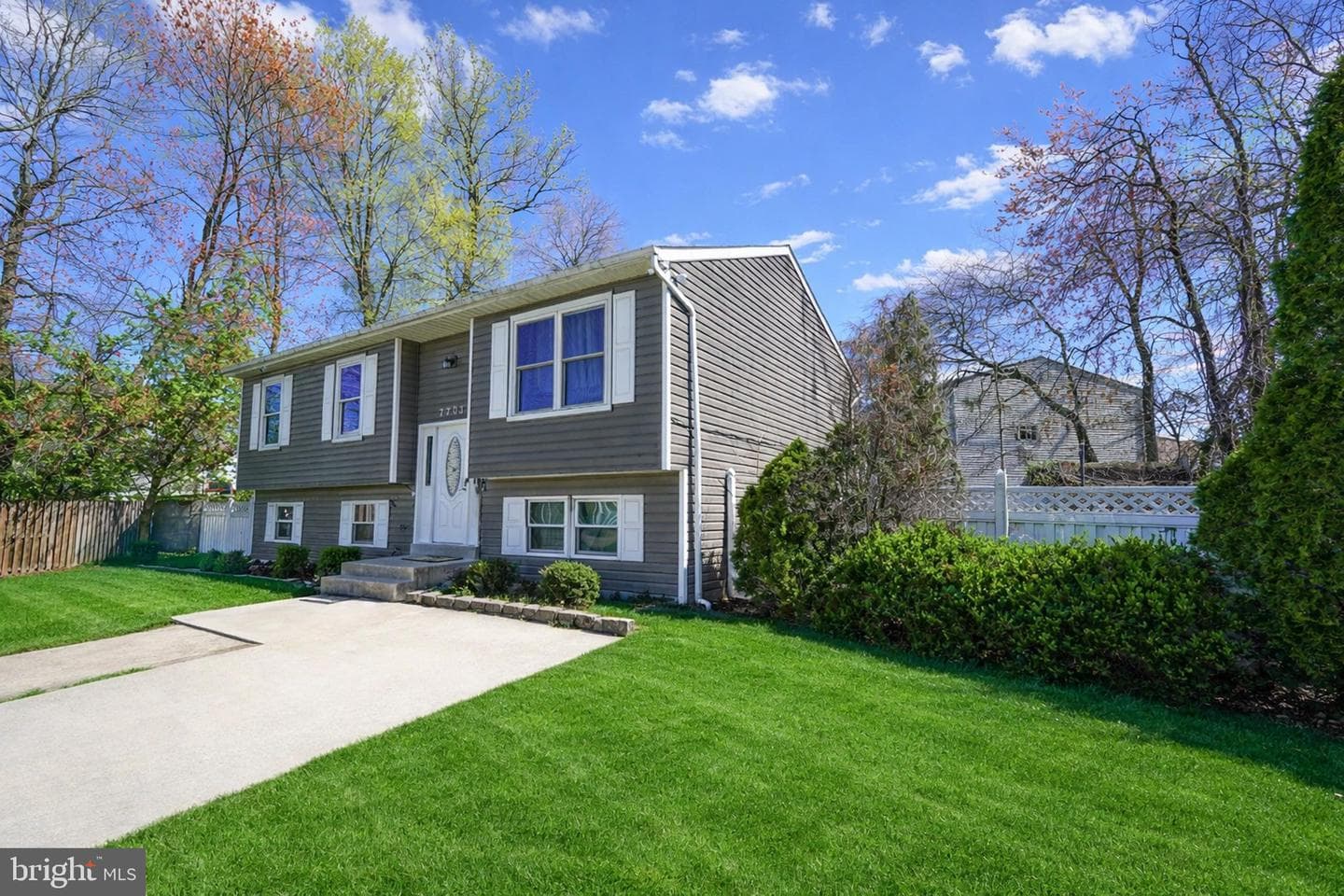 7703 Meath Court photo 3