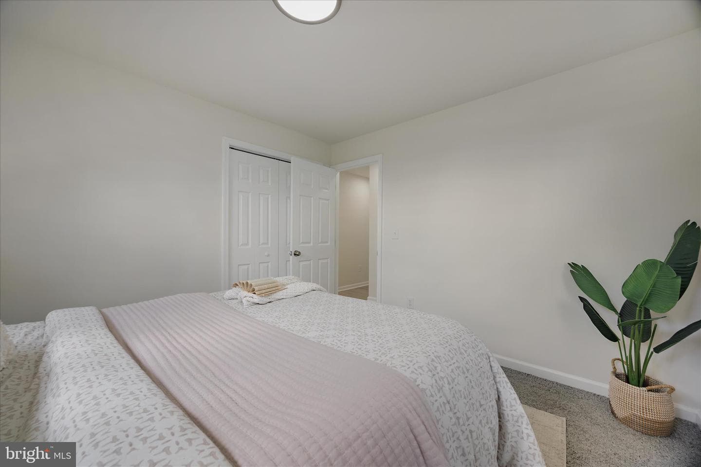 1531 Tieman Drive photo 20