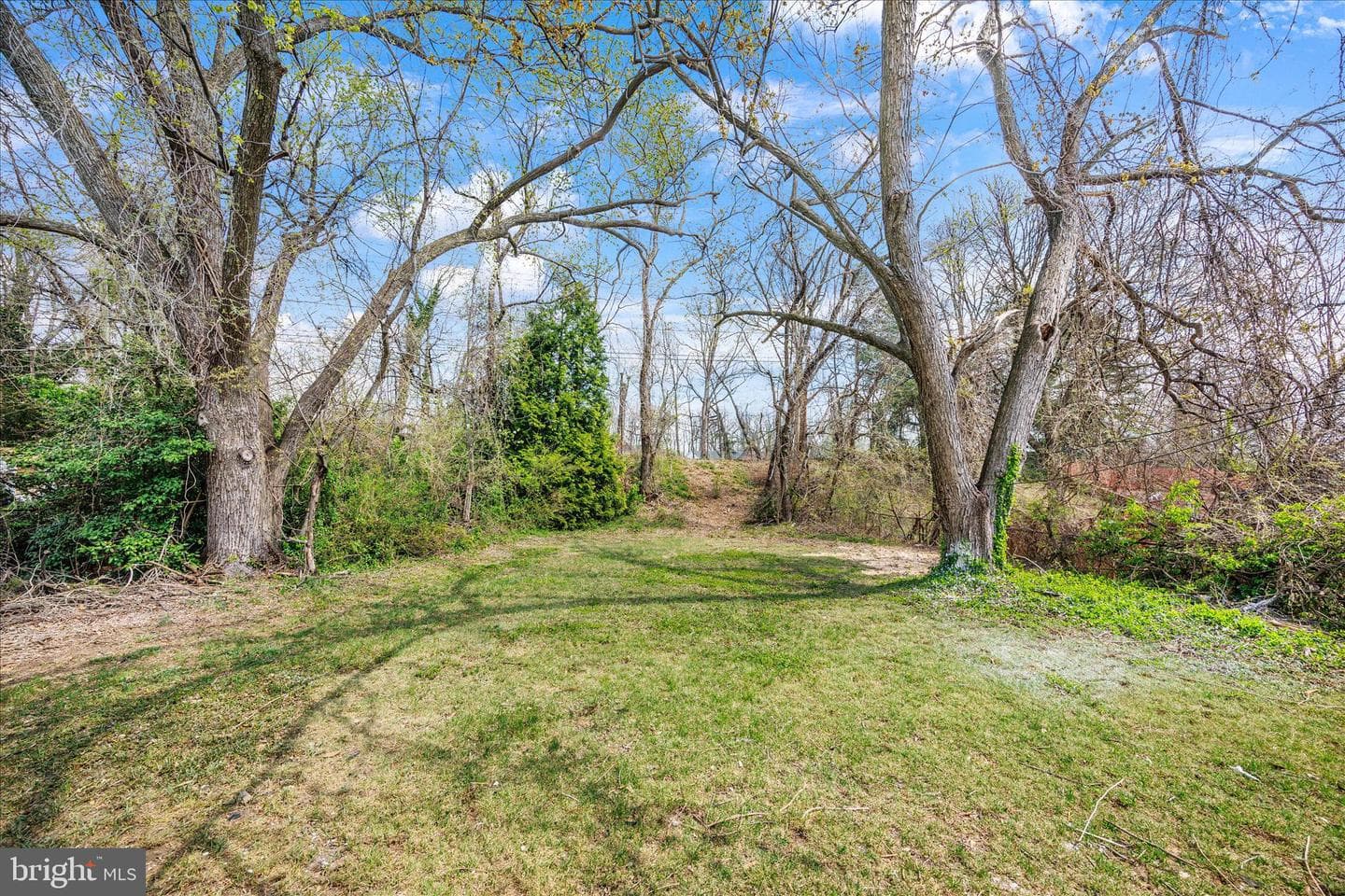 1531 Tieman Drive photo 33