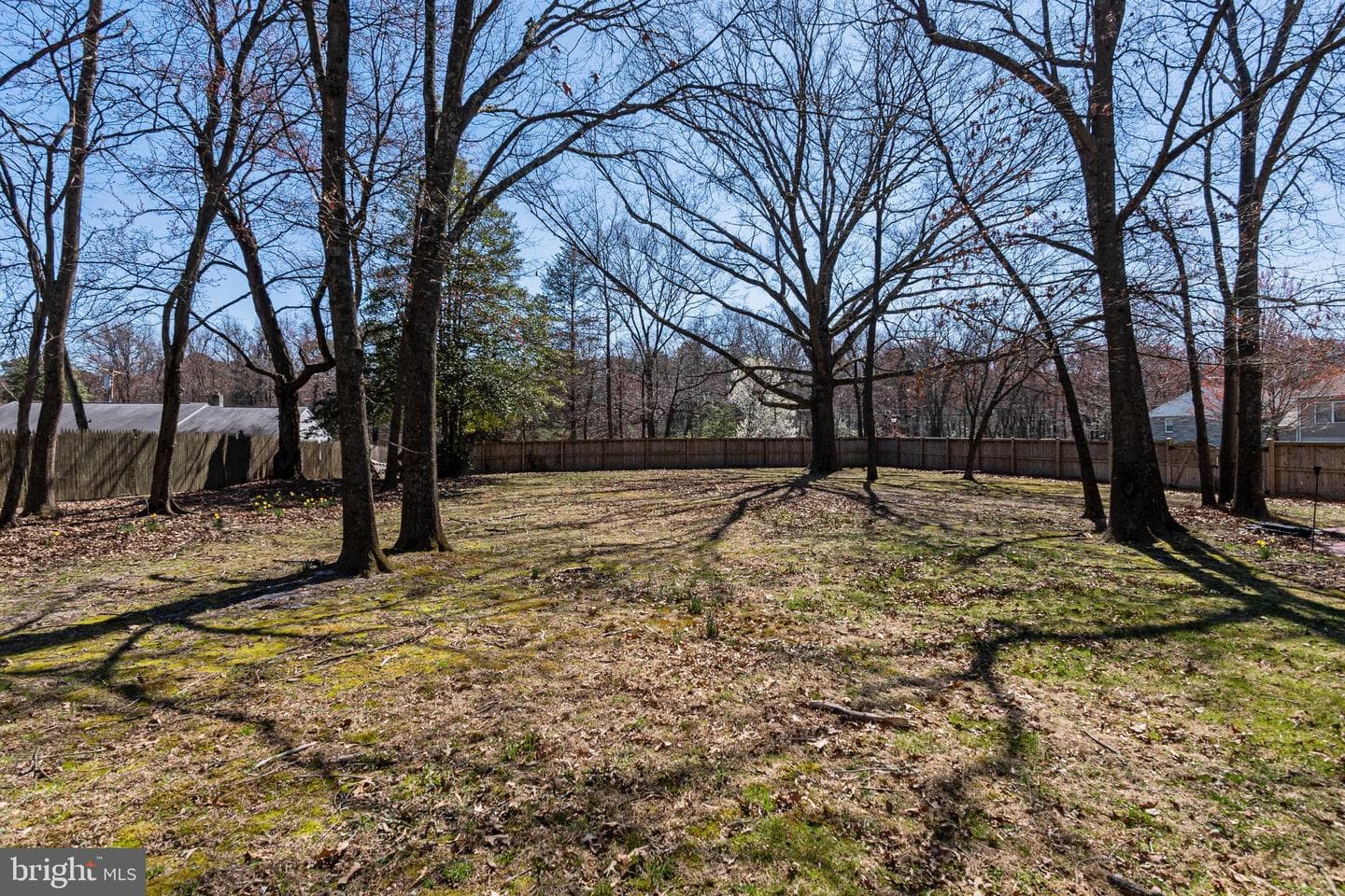 7703 Brasswood Lane photo 33