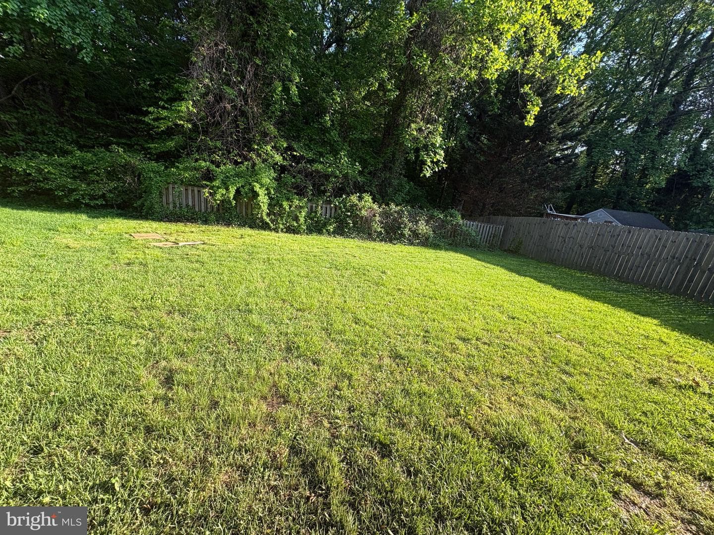 1531 Hickory Wood Drive photo 14
