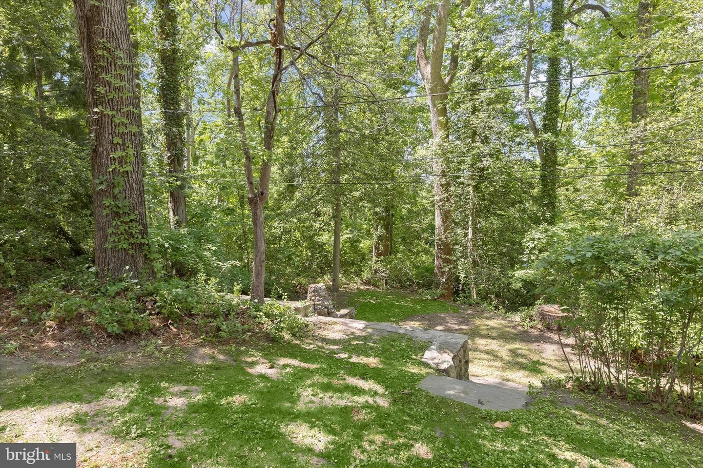 610 Cotterill Road photo 47