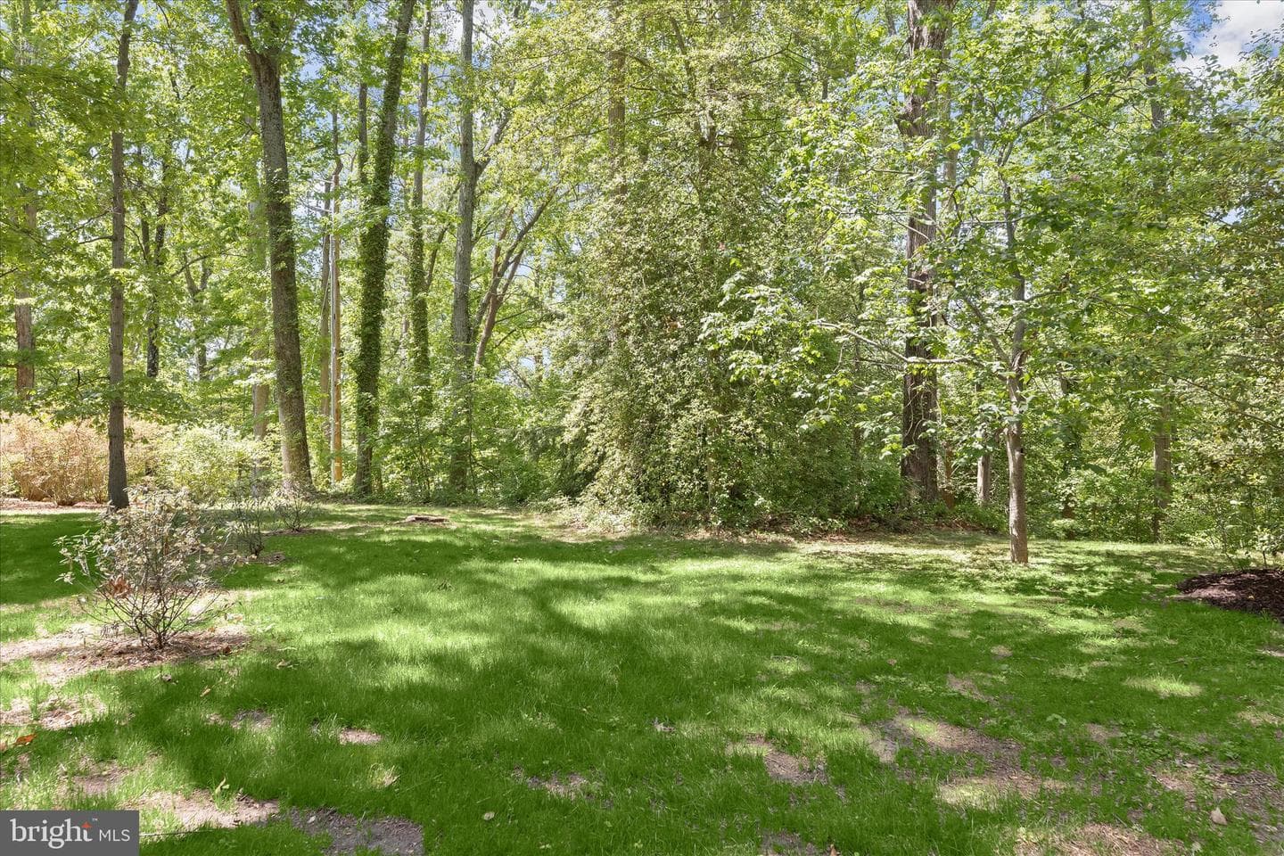 610 Cotterill Road photo 7