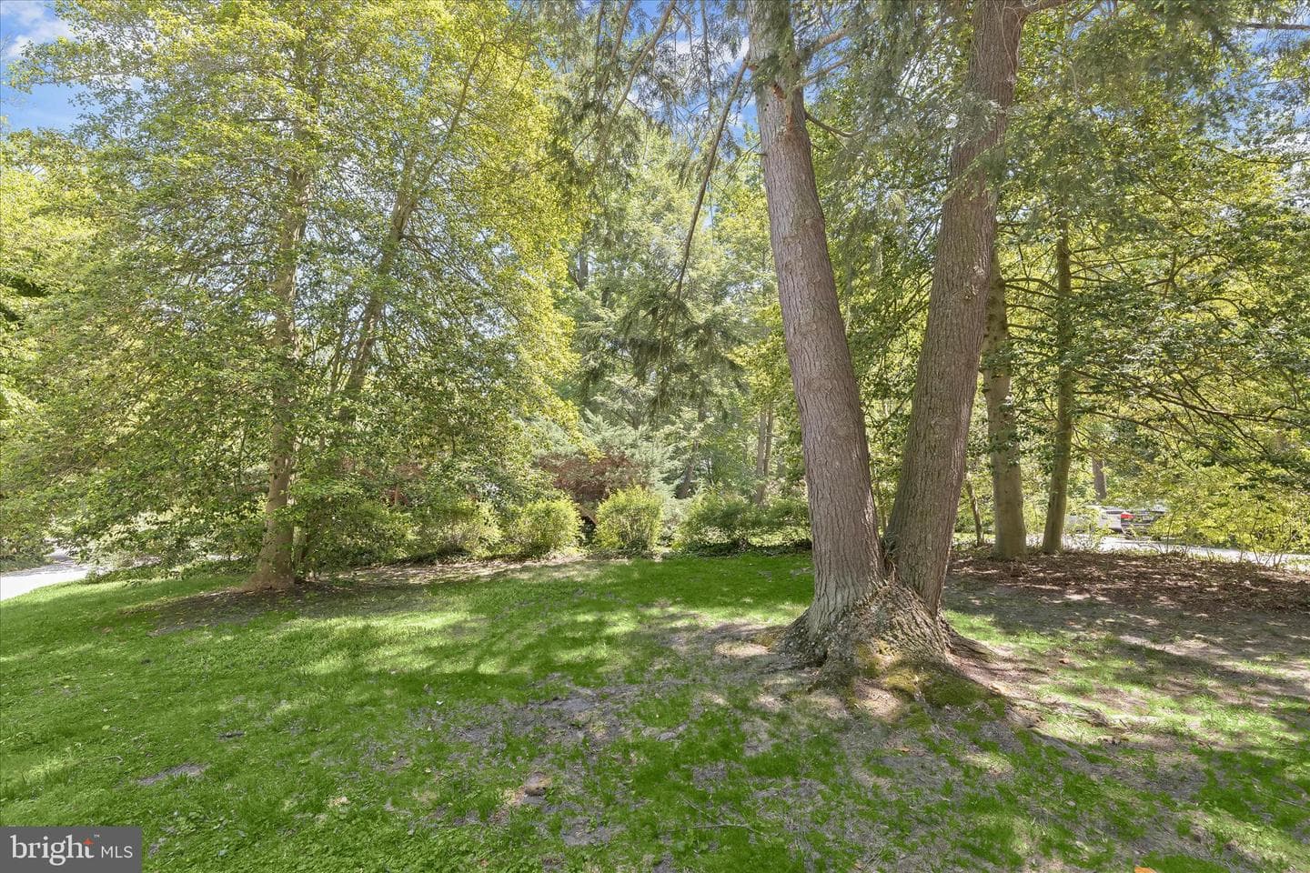 610 Cotterill Road photo 8